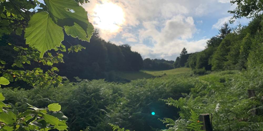 Les terres de la chouette, campagne verdoyante