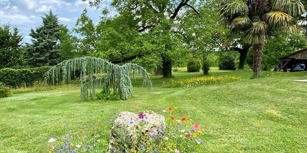 Vue sur le parc