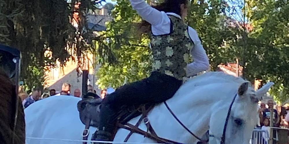 L'Equitation à Pompadour