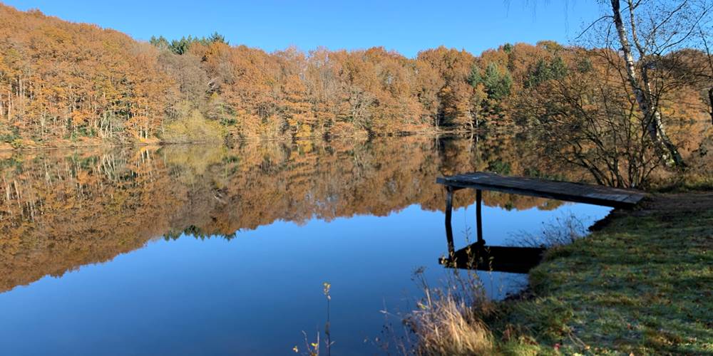Les terres de la chouette, lac de Sainte-Hélène, en automne