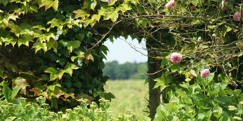 Fenêtre du jardin