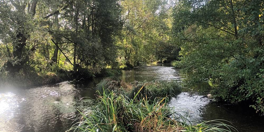 Le Thouet à proximité du gîte