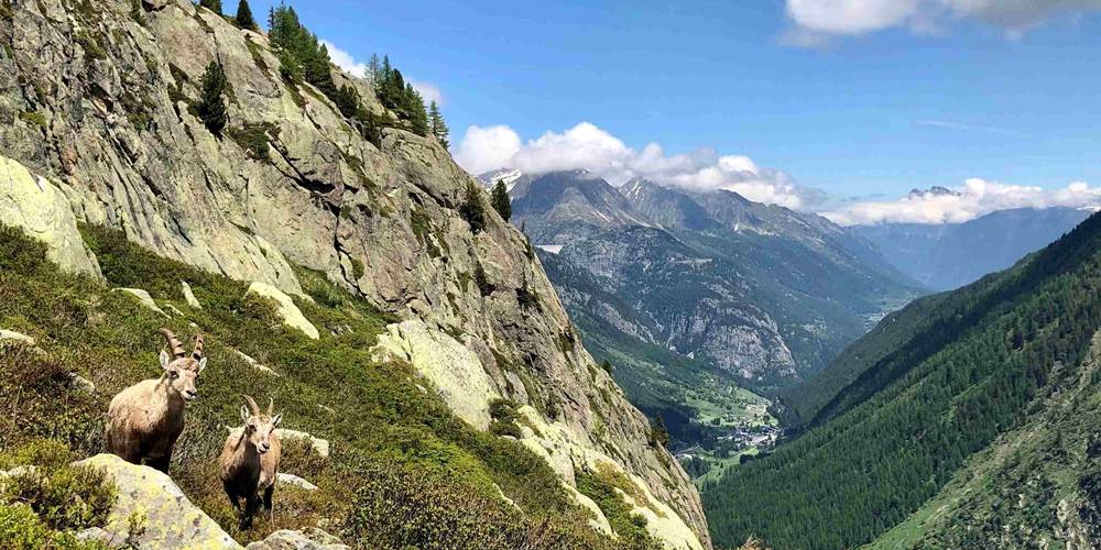 Randonnée dans la réserve des Aiguilles Rouges au printemps ccc