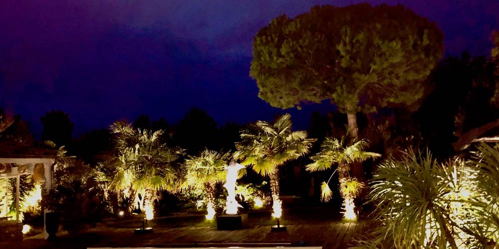 photo  jardin de nuit
