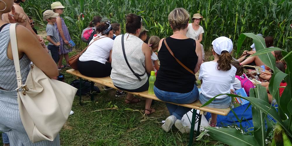 contes dans les maïs