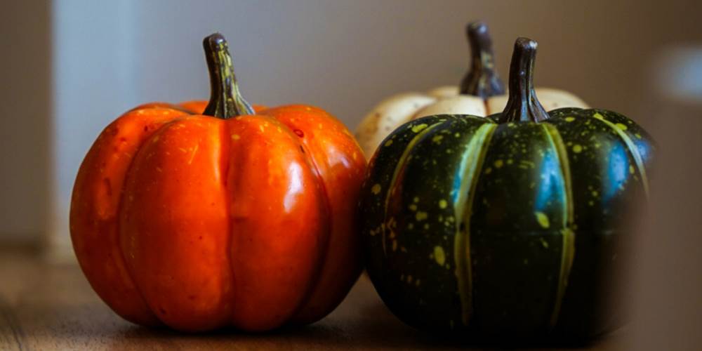 decoration-automne-citrouilles-gite-ocimes-la-bresse