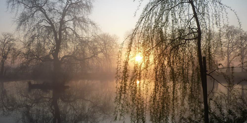 Lever de soleil sur l'étang