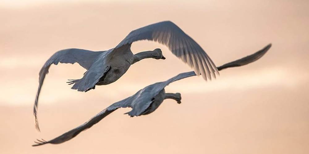 Gites La Baie des Remparts en Baie de Somme Picardie France