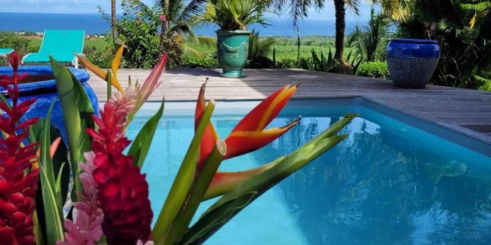 Piscine et jardin tropical - Villa de luxe Habitation Tara