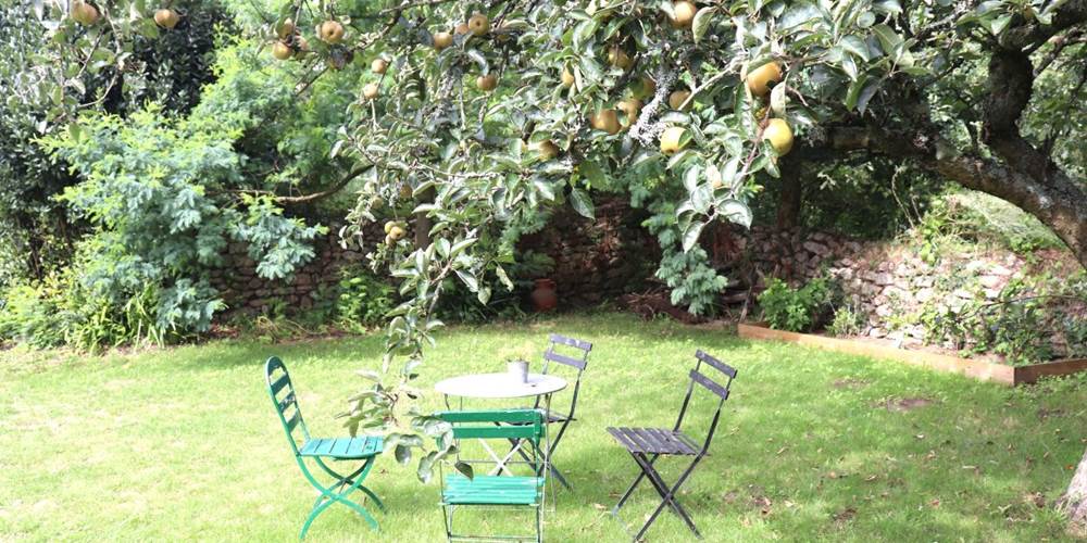 Détente sous le pommier