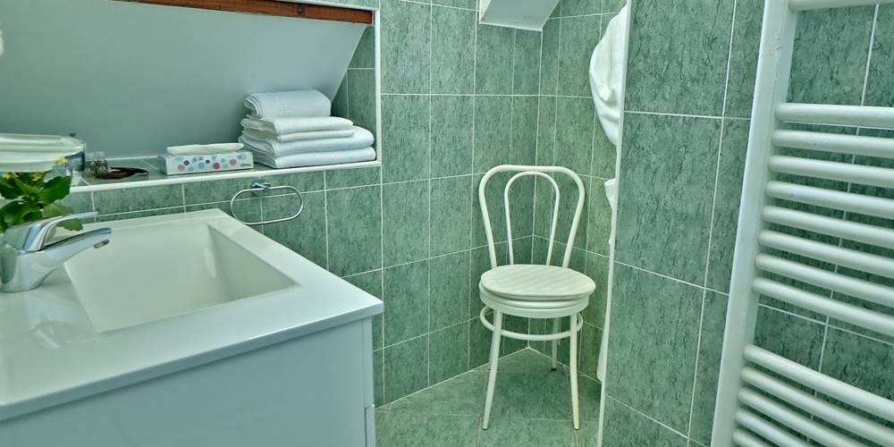 Salle de douche Chambre double Confort Le Pas de l' Âne Saint Ondras