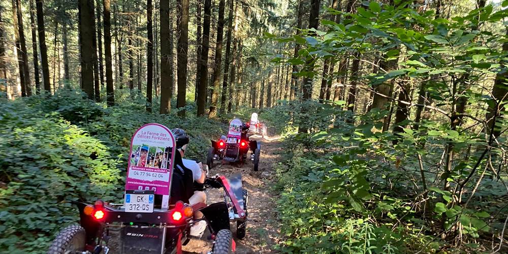 swincar - découvrez les chemins forestiers sans bruits grâce aux moteurs électriques