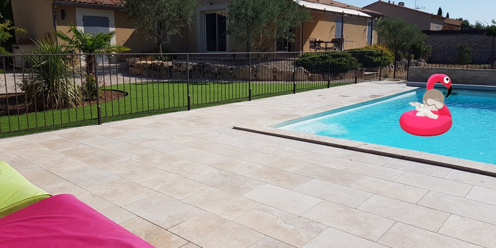 Flamand rose dans la piscine