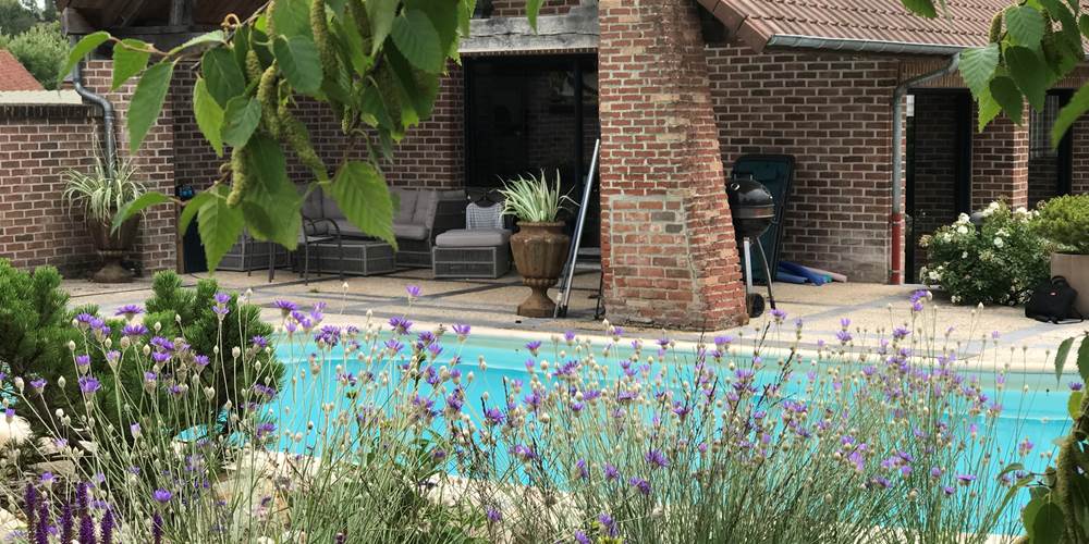 le jardin et la piscine