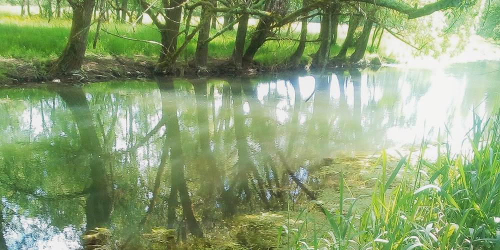 Une promenade au fil de l’eau