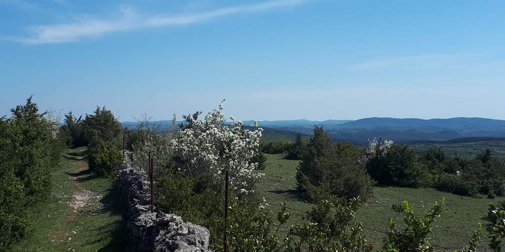 Promenade sur le Causse