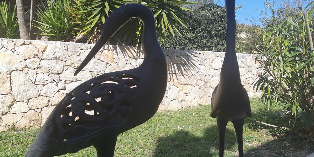 Cygnes jardin