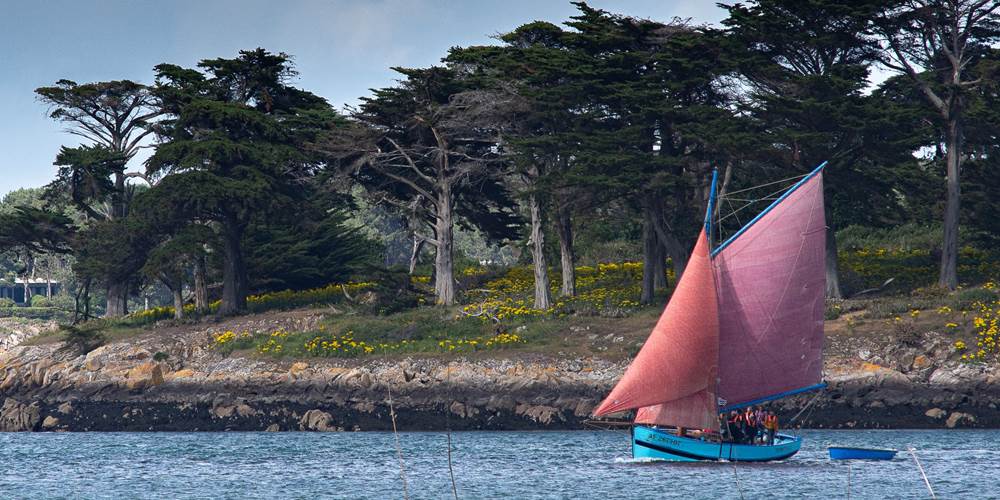 la semaine du Golfe