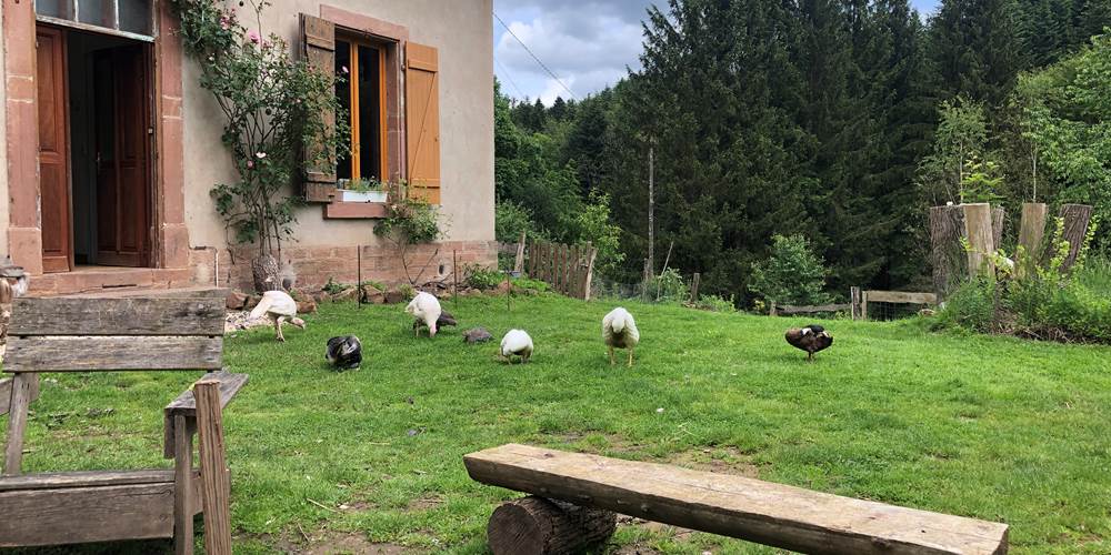 gite à la ferme