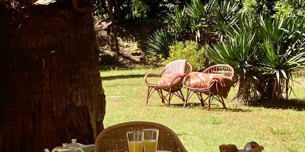 Petit déjeuner sur la terrasse