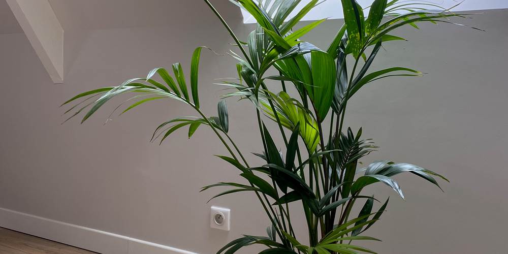 chambre jules detail decoration