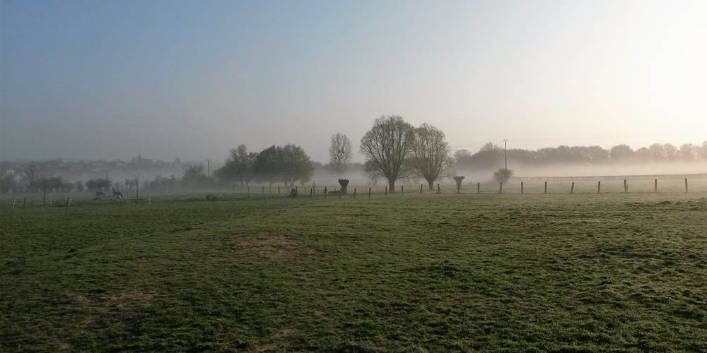 La brume
