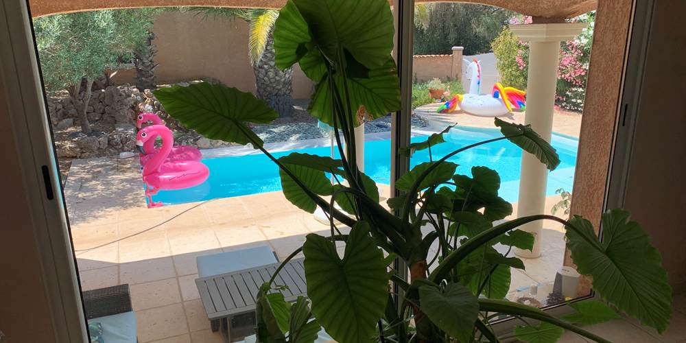 View over the pool