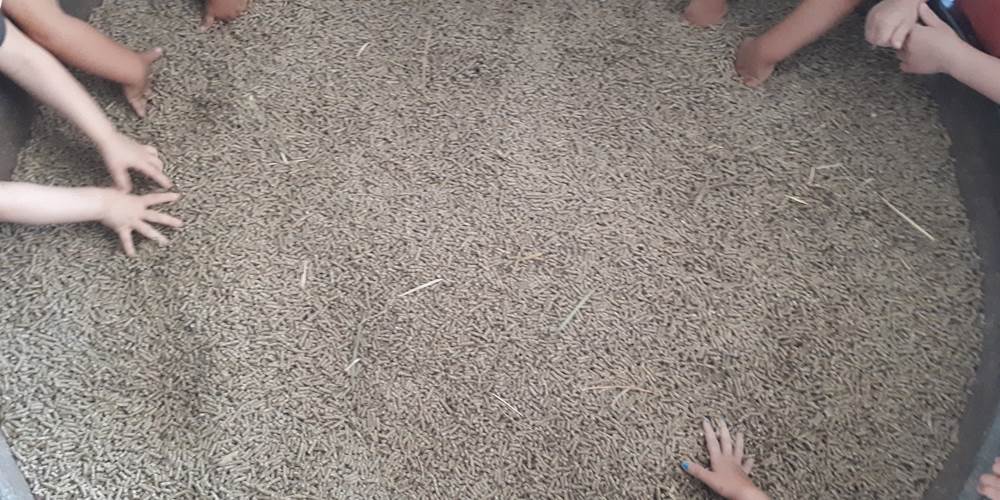 mains enfants dans le granules