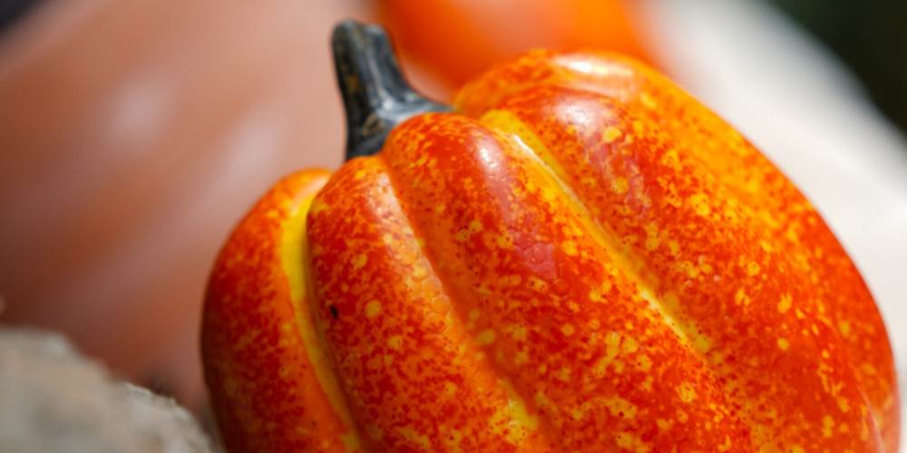 decoration-automne-citrouille-gite-ocimes-la-bresse