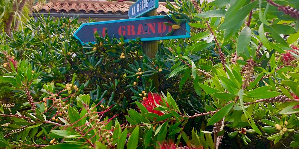 les-pancartes-du-jardin