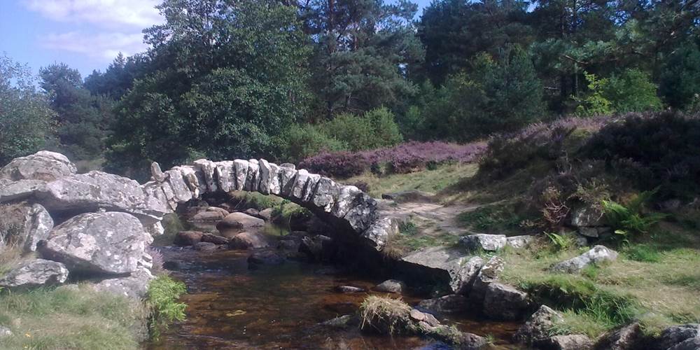 PONT DE SENOUEIX