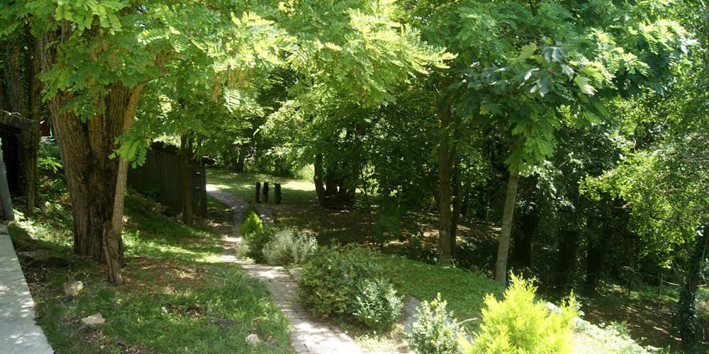 LA nature