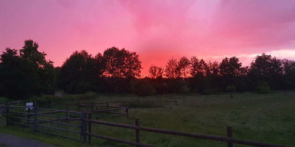 Le bocage s'illumine