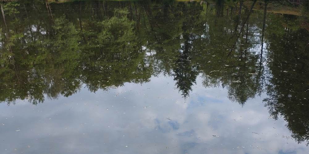 Etant privè à 7km du Moulin de Lavaugarde