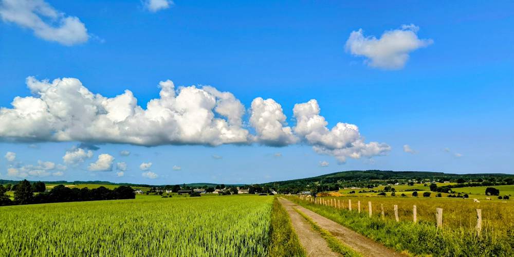 Paysage d'Ardenne