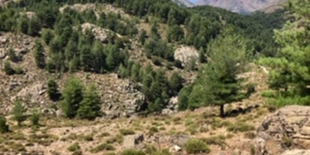 montagnes