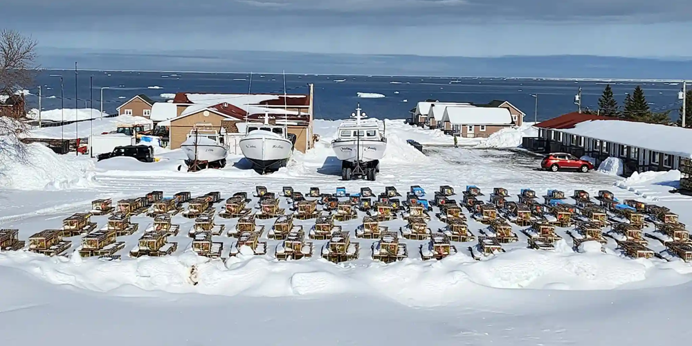 Pêche Homard Motel & Chalets l'Acadien vue sur mer 