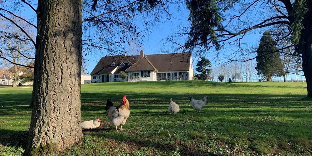 La Charmille: votre maison de campagne le temps d’un week-end : espaces, nature et calme, pour 15 invités.