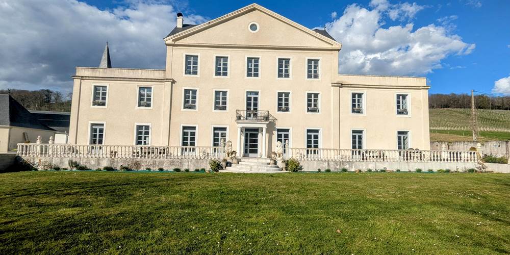 Chateau Roquehort Monein - Cambres d'hotes Monein (19)