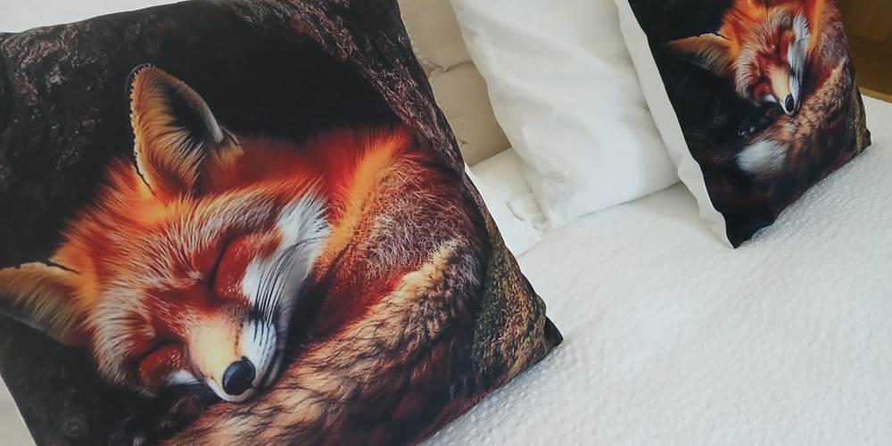 Le Loft du Renard" endormi