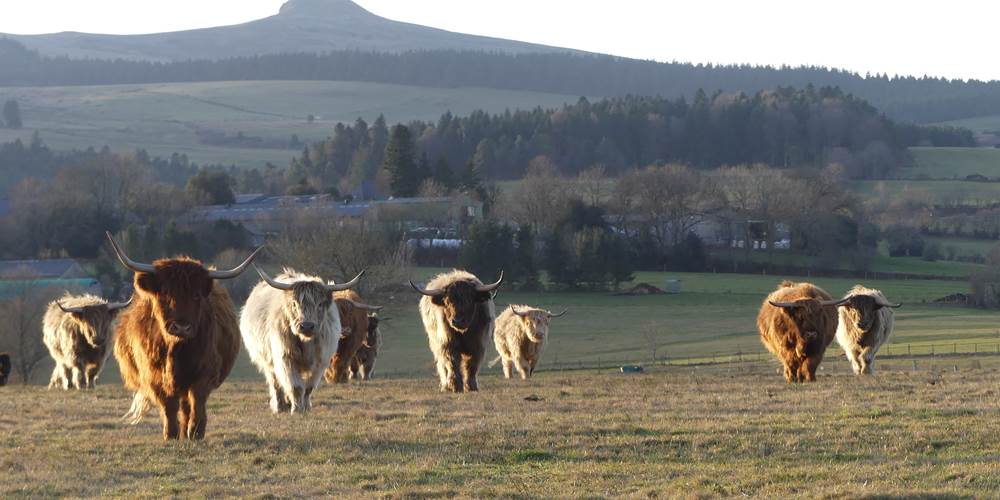La Banne d'Ordanche vue Des Grands Champs