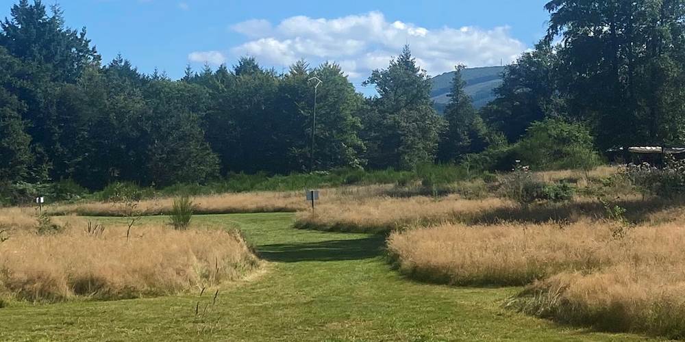 Le Ranch Camping - Campsite