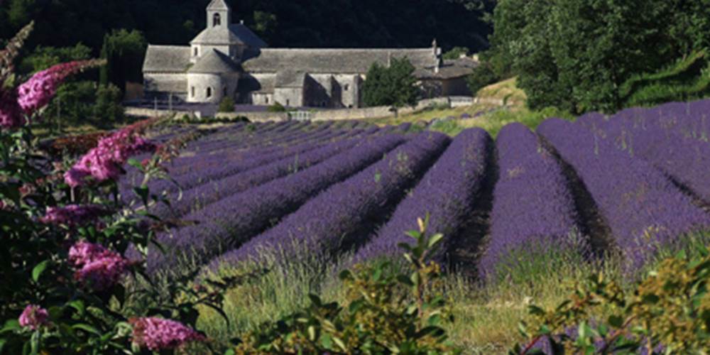 L'Abbaye de Sénanque