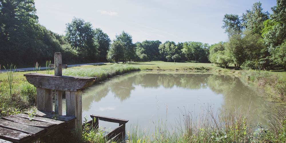 Vu du bassin extérieur