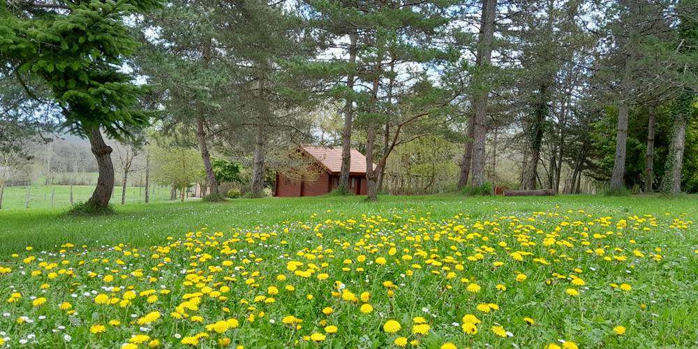 Village de Gîtes LES CHALETS DE GRAZIMIS - vacances dans le Gers - 48 grazimis parc fleurs