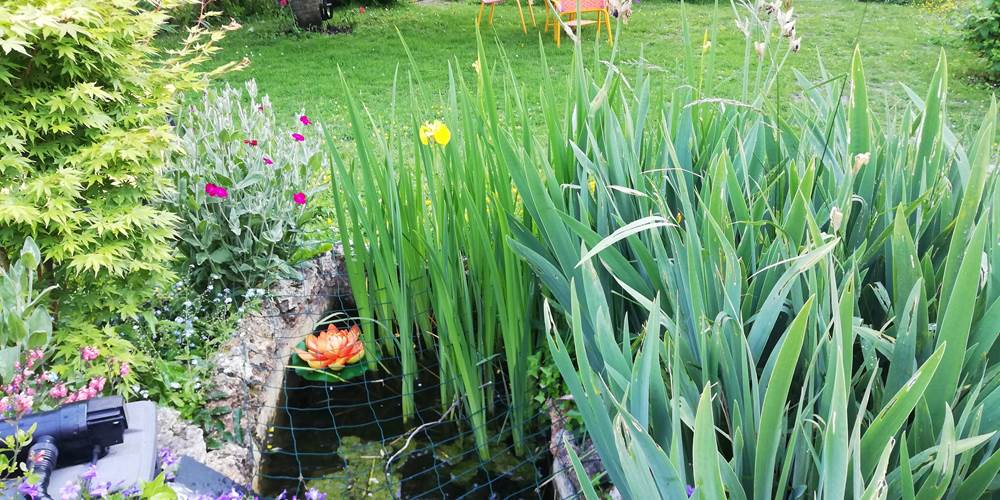 Jardin