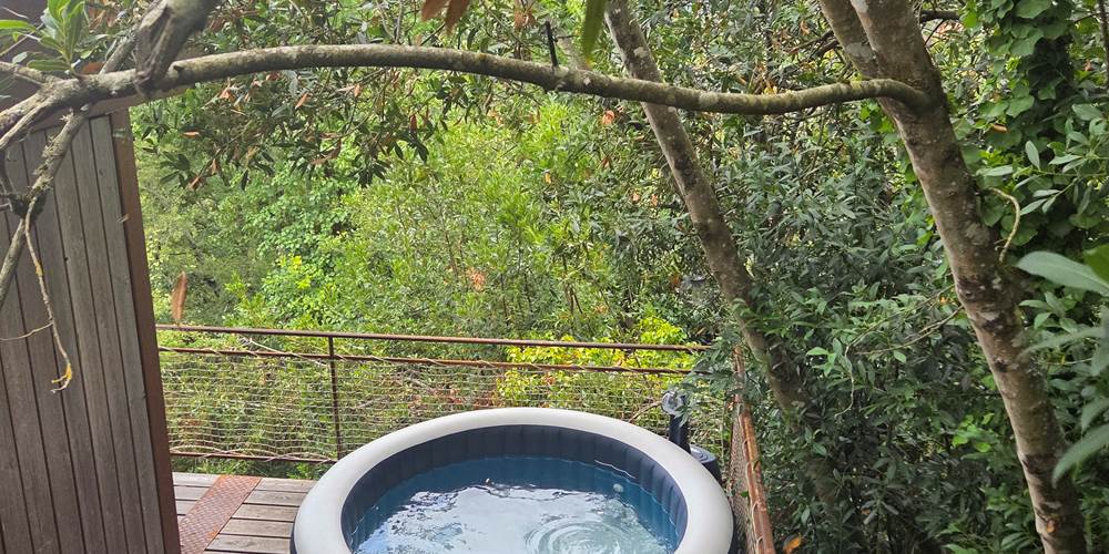 Jacuzzi vue terrasse autour des arbre