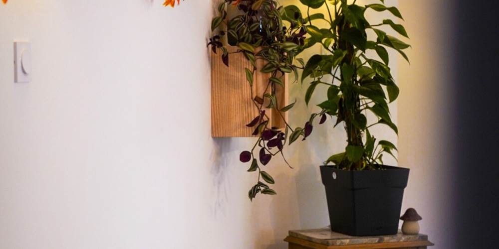 coin-canape-decoration-automne-gite-ocimes-la-bresse