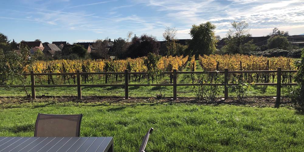 vue sur le vignoble alsacien depuis la terrasse privative