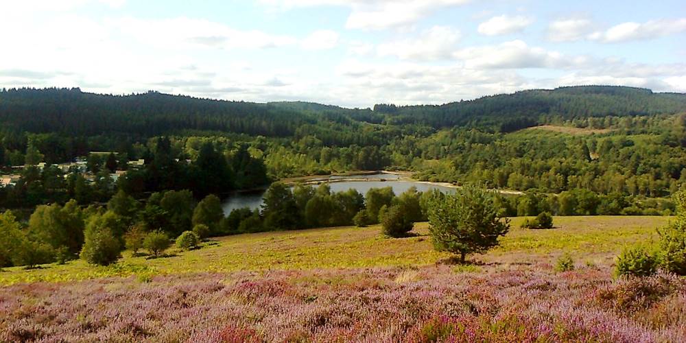 La lande du Puy La Croix avec vue sur le Lac